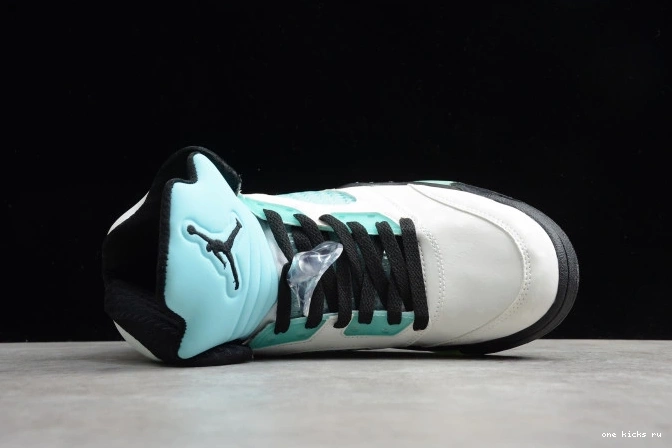 Chep Onekick Jordan Green 5 CN2932-100 Air Island 0710